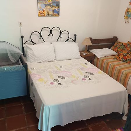 Casa No Morro - Charme Em Meio A Natureza Pertinho Da Praia 3 Dormitorios Sao Sebastiao  Eksteriør bilde